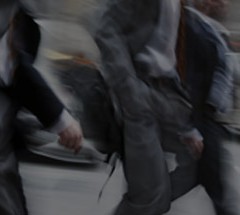 Avocats en Droit public